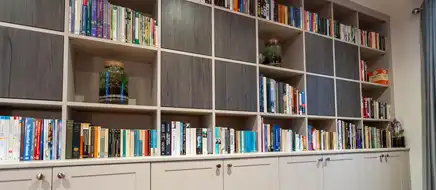 Book shelves